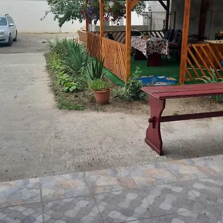 Mirel Ursu Проживание в семье Эфорие Норд